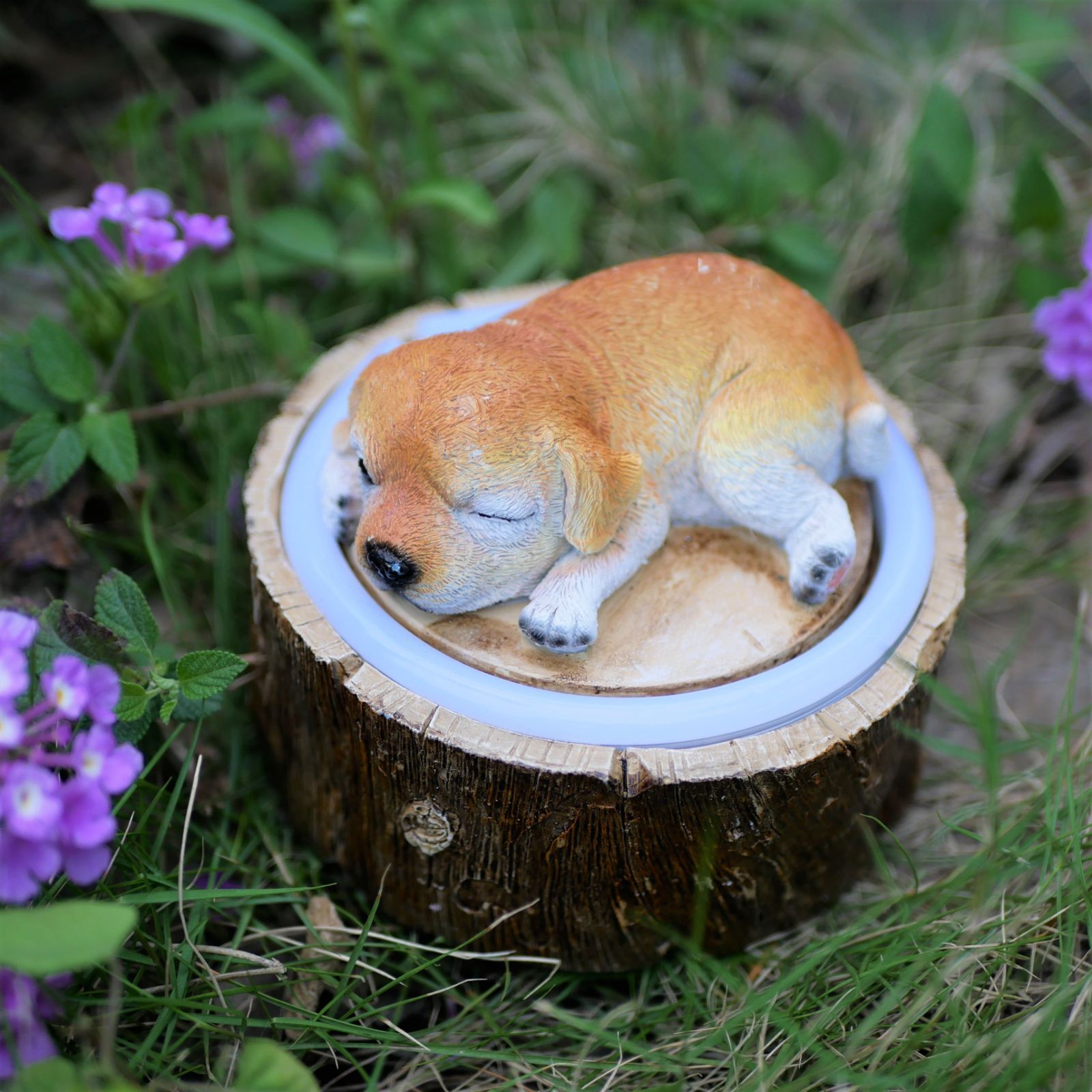 ソーラーライト ガーデンライト ガーデンオーナメント 寝ている子犬 子猫 犬 ドッグ ネコ 庭オブジェ 置物 癒しグッズ ガーデニング お庭 玄関ライト 動物の置物 花壇の置物 園芸装飾 可愛