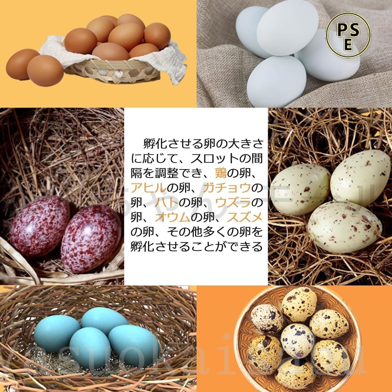 発泡スチロール