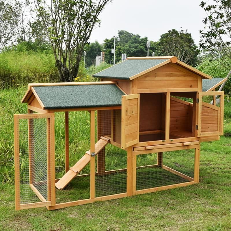 鳥の巣 猫の巣
