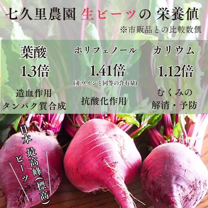 【そ　様】専用　乾燥きのこ　野菜　ドライフルーツ　ビーツ 七久里農園 乾燥 ビーツ 千切りタイプ 「きりぼしビーツ 30g