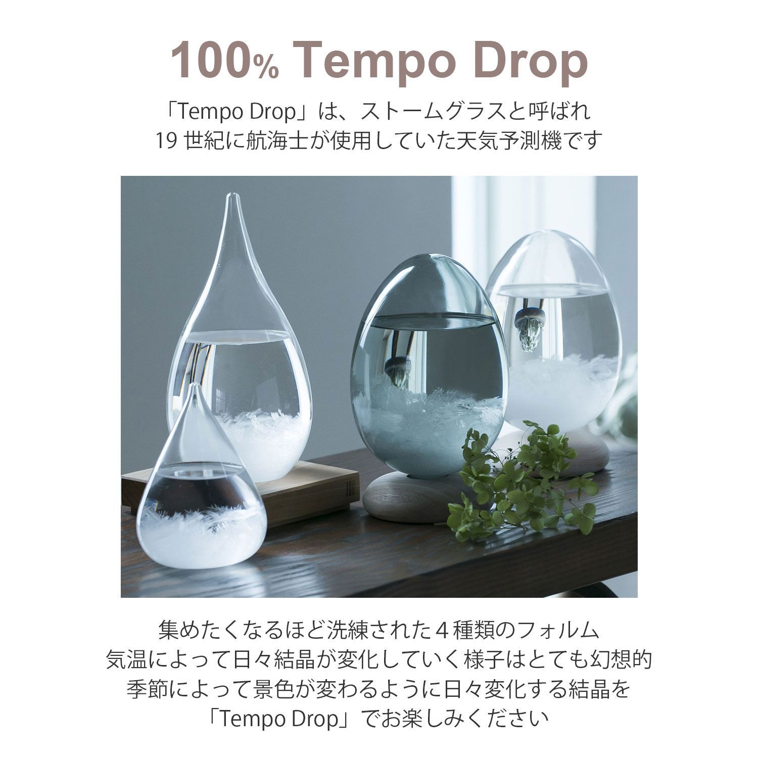 ストームグラス テンポドロップ