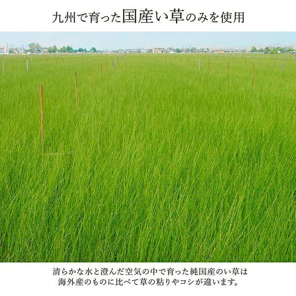 抗菌 防臭