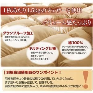 新20色羽根掛布団 代引不可