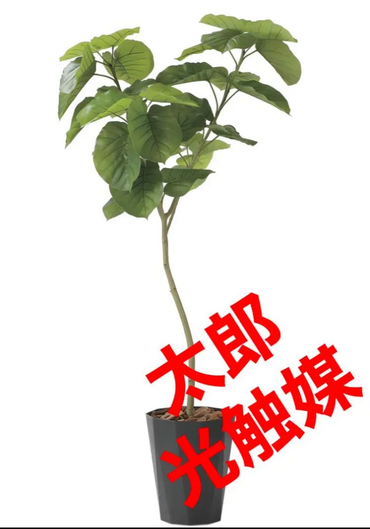 最大52％オフ！ 光触媒 人工観葉植物 ウォールグリーン フェイク