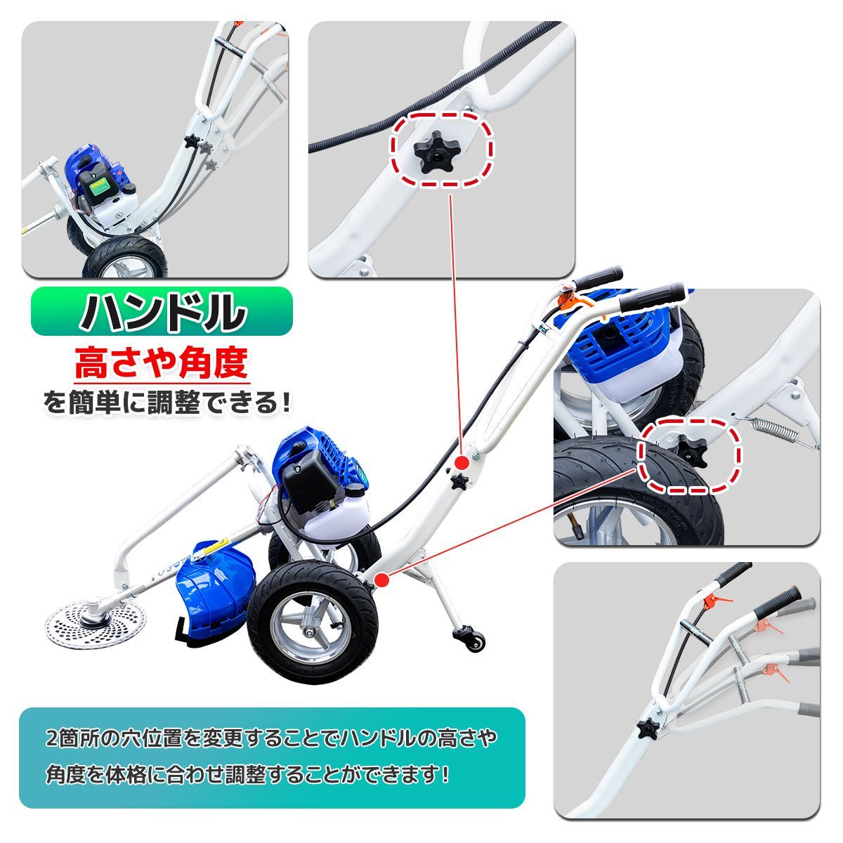 剪定