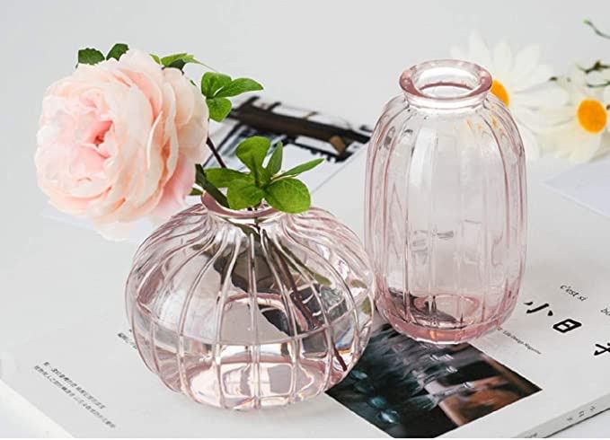 アンティークビミニガラスの花瓶 Amazon.co.jp: ガラスの花瓶 ミニ花器 一輪挿し 透明 タイプ1
