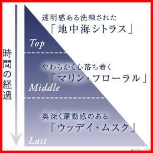 シトラスの香り 16枚入り×3個セット
