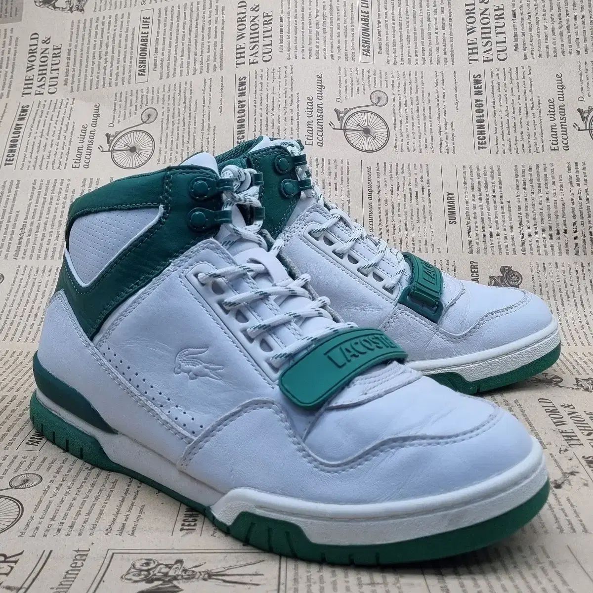 LACOSTE(ラコステ) メンズミディ 270