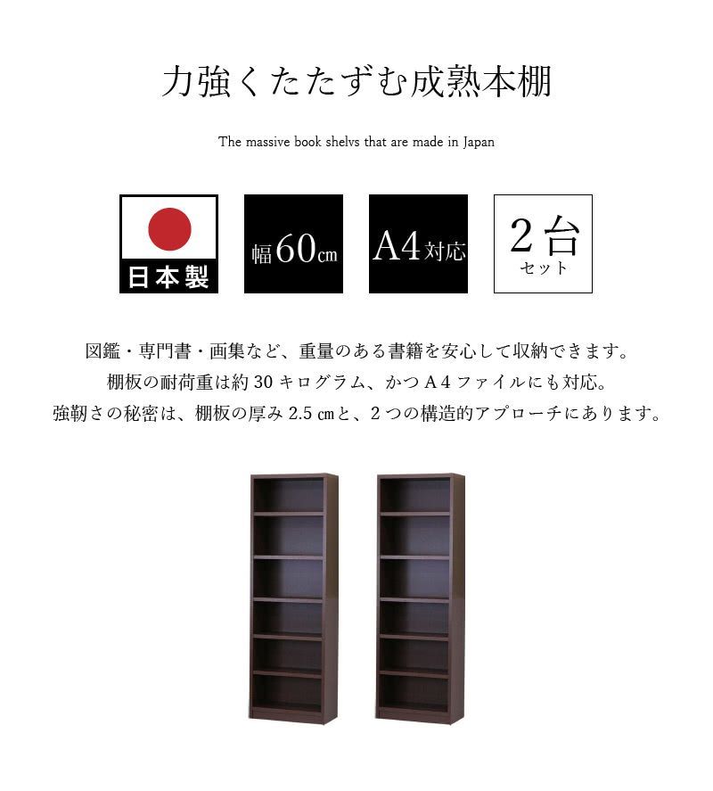 AKU1012706 強化シェルフ 2台セット 本棚 書棚 強化書棚 幅120 筋肉