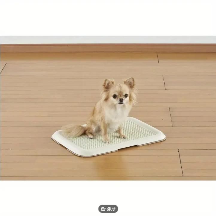 薄い修復トレイ アイボリ