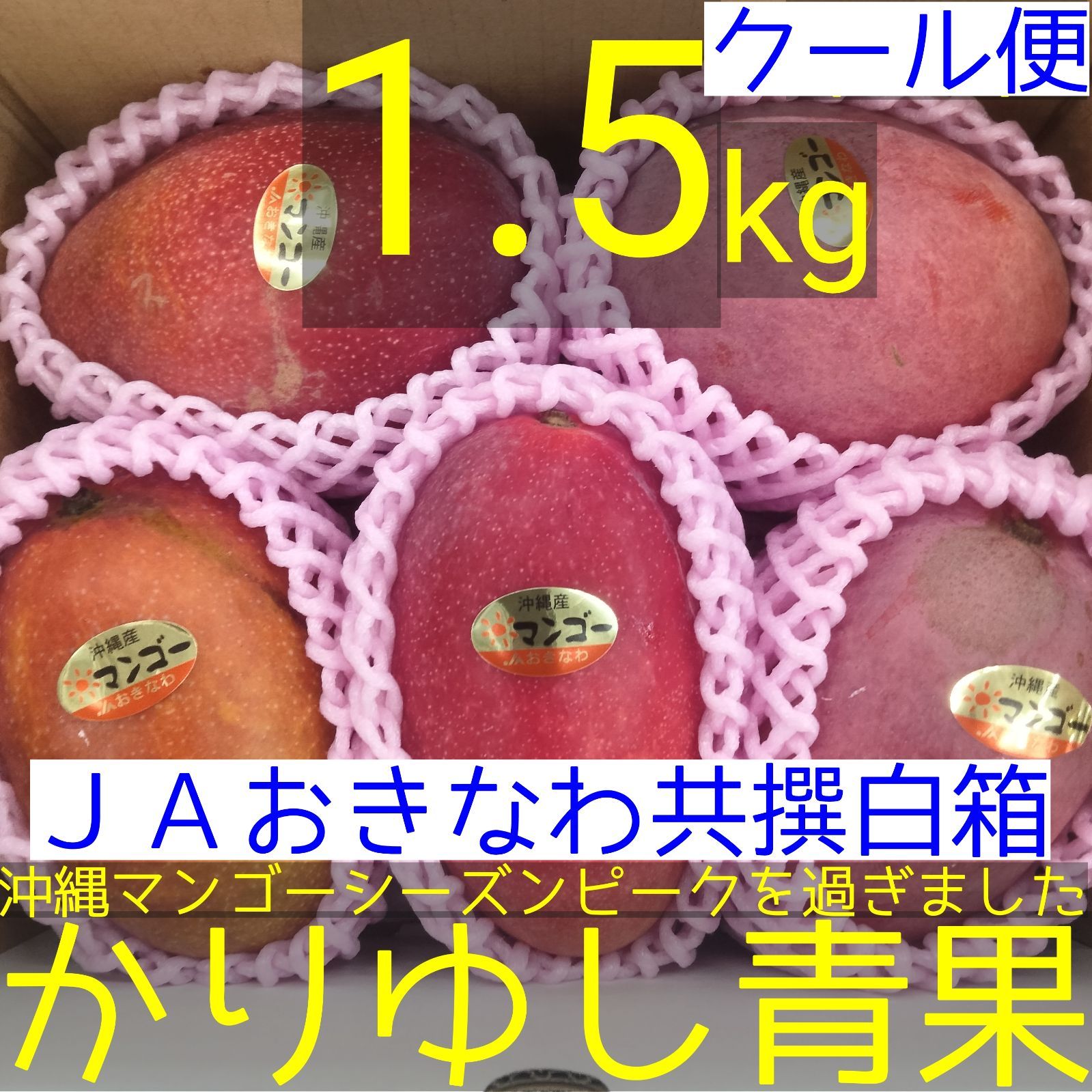 JAおきなわ 共撰マンゴー 良品 白箱ご家庭用 約1.5kg【クール