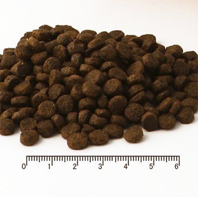 【12kg 】FISH4DOGS フィッシュ4ドッグ ドッグフード スーペリア ウェイトコントロール（成犬）6kg×2P