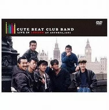 邦楽DVD キュートビートクラブバンド / CUTE BEAT CLUB BAND LIVE IN