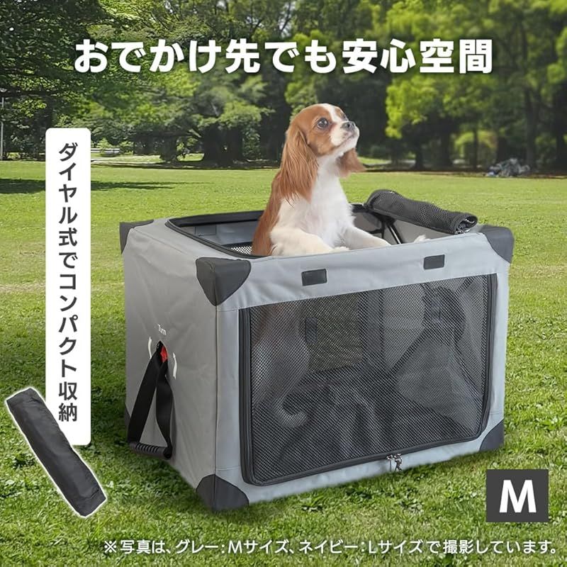 犬