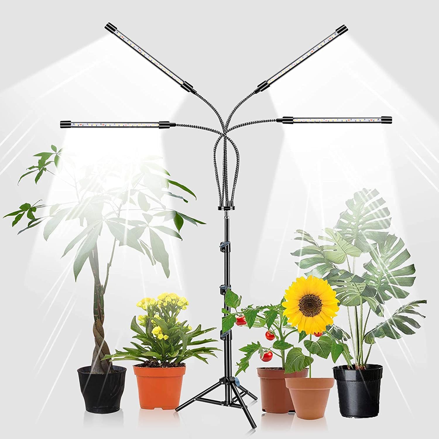 80LED LED植物育成ライト スタンド付き4ヘッドプラントライト 屋内プラント用の80W 5500Kフルスペクトルフロアプラントライト 9調光度 自動オン|オフタイマー 38120 cmの三脚調整