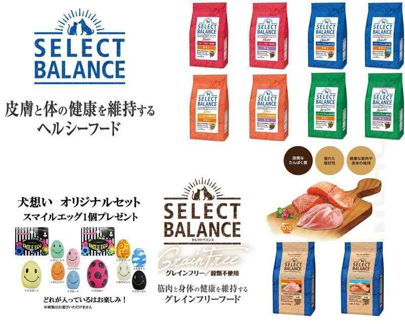 超激レア アダムスコット実使用シャフト DI-8X 2025年最新