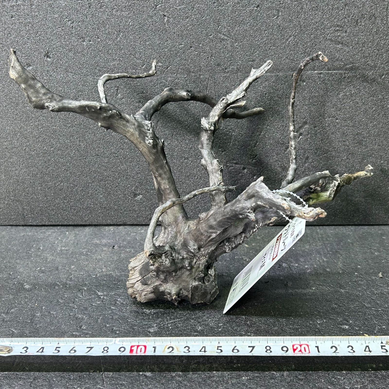 10936 ブランチウッド 流木 アクアリウム 沈水確認済 61103 ブランチ