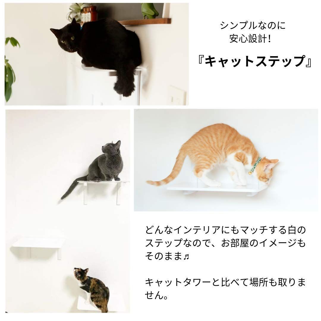 animacolle キャットロードプラス