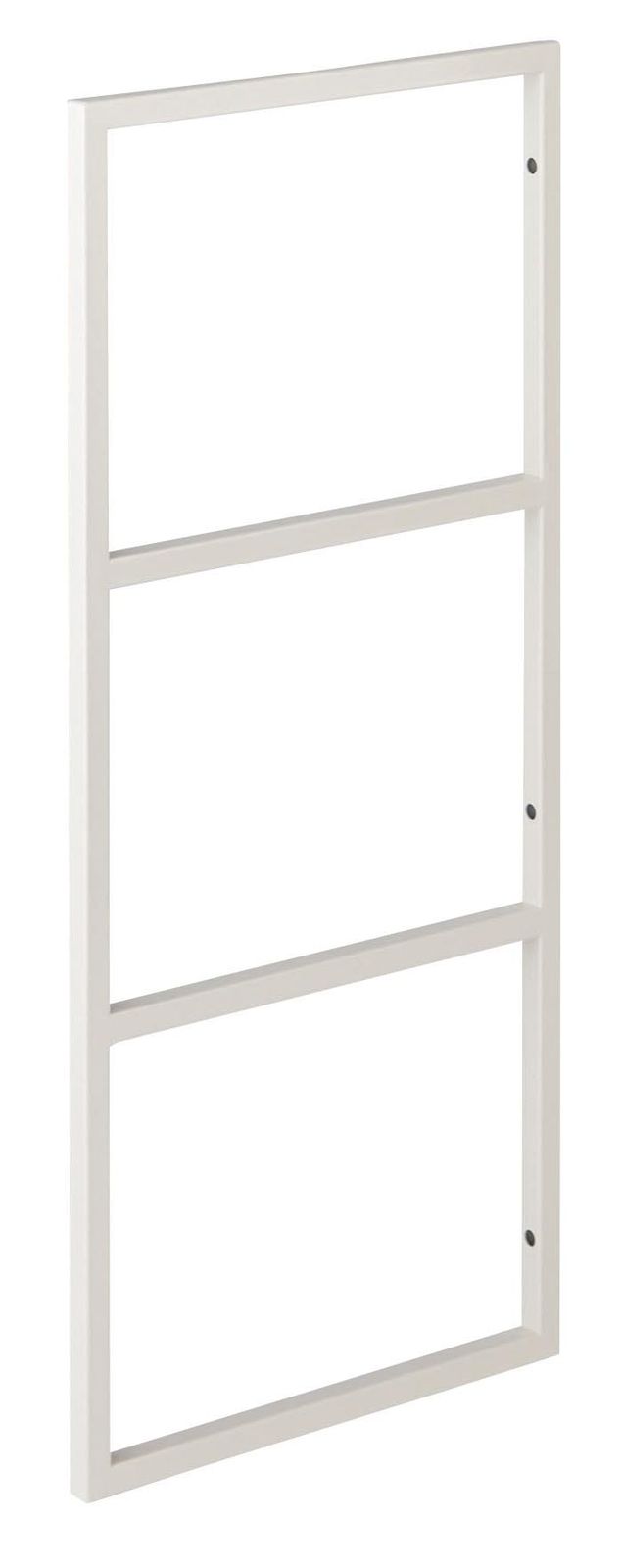 尾形丸 ギムノカリキウム属 抜き苗