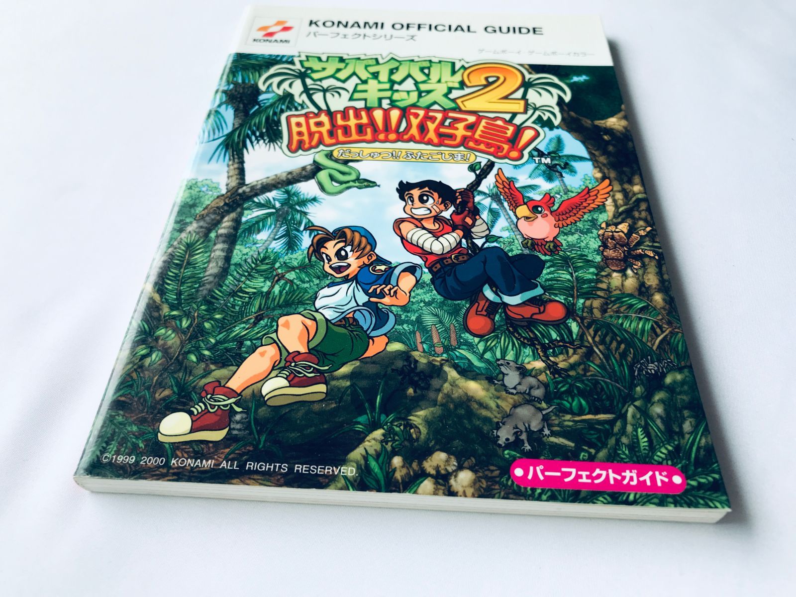 サバイバルキッズ2 脱出!!双子島! パーフェクトガイド GBC 攻略本 初版 