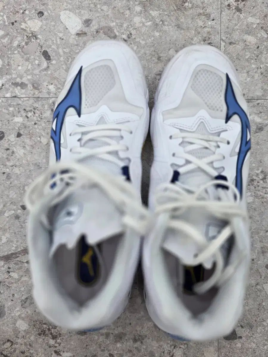 Mizuno ミズノ スニーカー 260