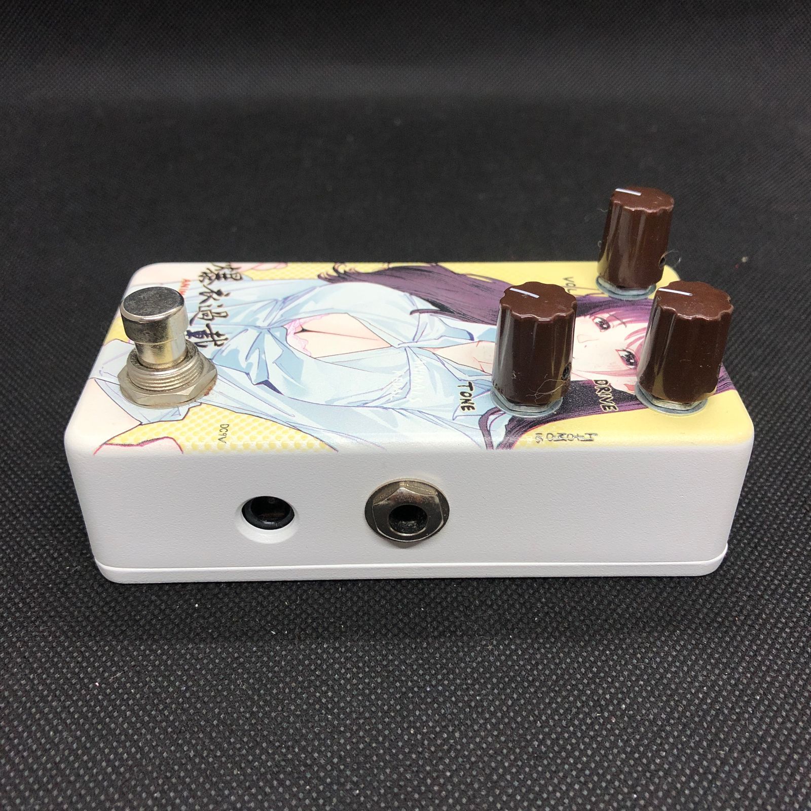 Animals Pedal Custom Illustrated 爆衣過載 HISTORY - Custom Illustrated - – Animals Pedal