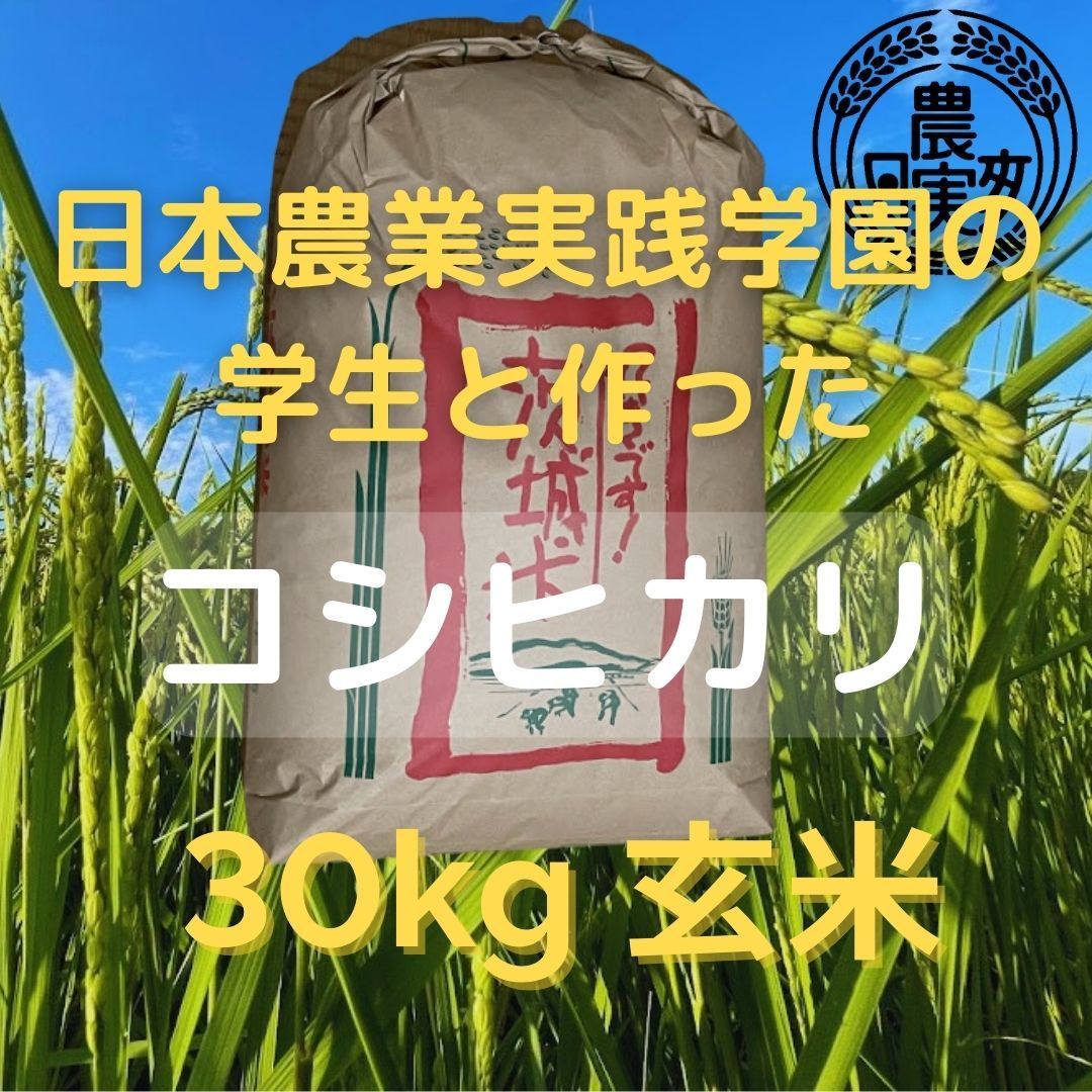 新米 玄米30キロ （R4年安心院町⭐︎ひめごのみ⭐︎新米⭐︎玄米