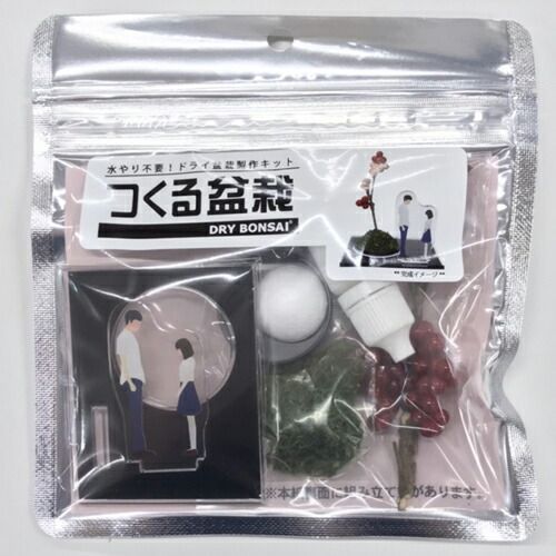 まとめ マインド インテリア雑貨 つくる盆栽 学生 TB-001 ×