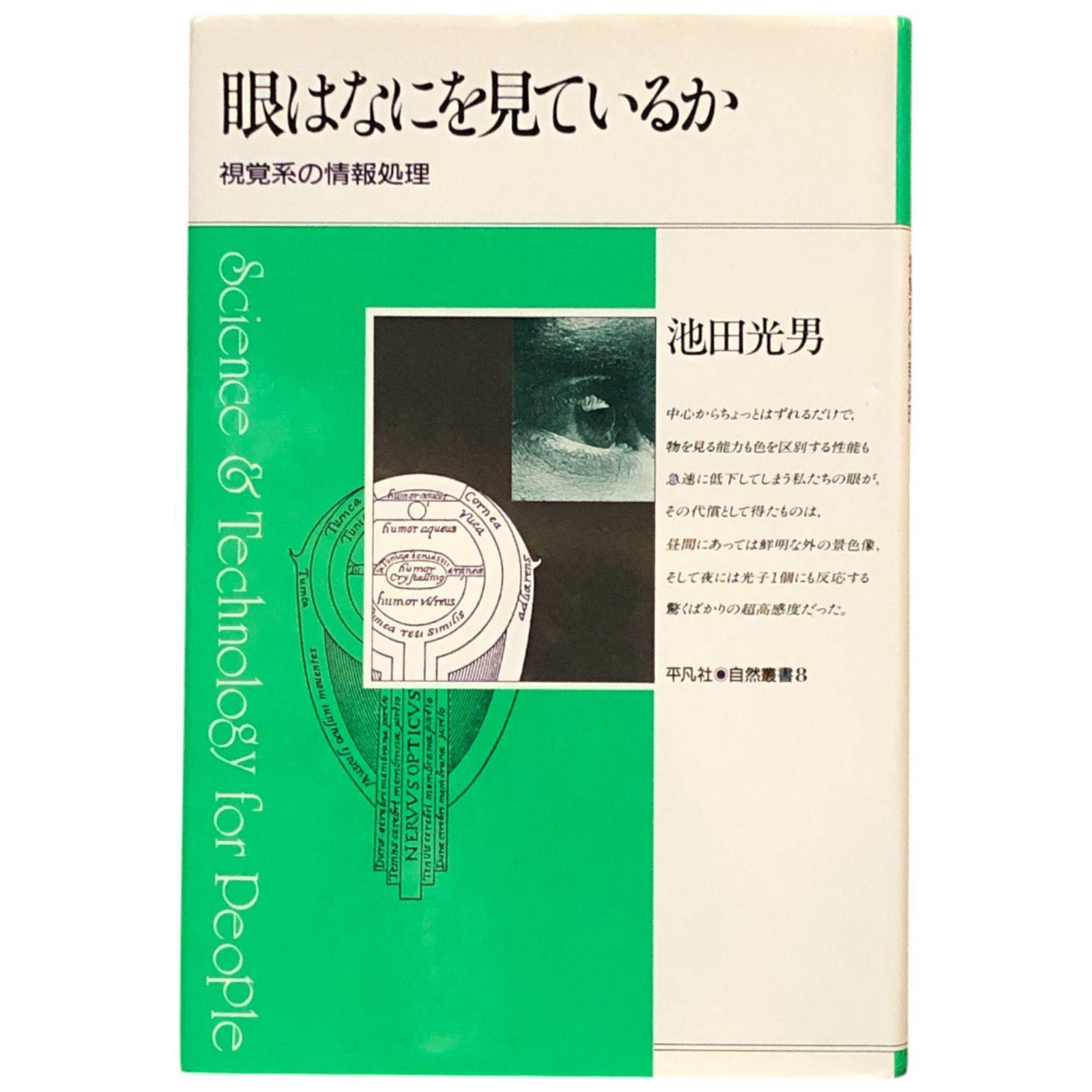 絵本・児童書 c があこちゃんのたんじょうび - 絵本・児童書・古雑誌 のらねこ古書店