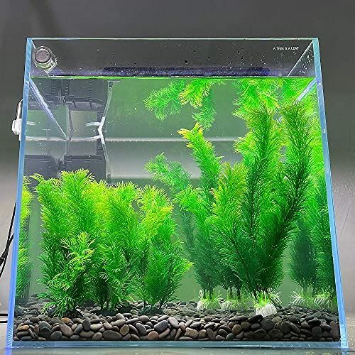 アクアリウム 水槽セット グリーン