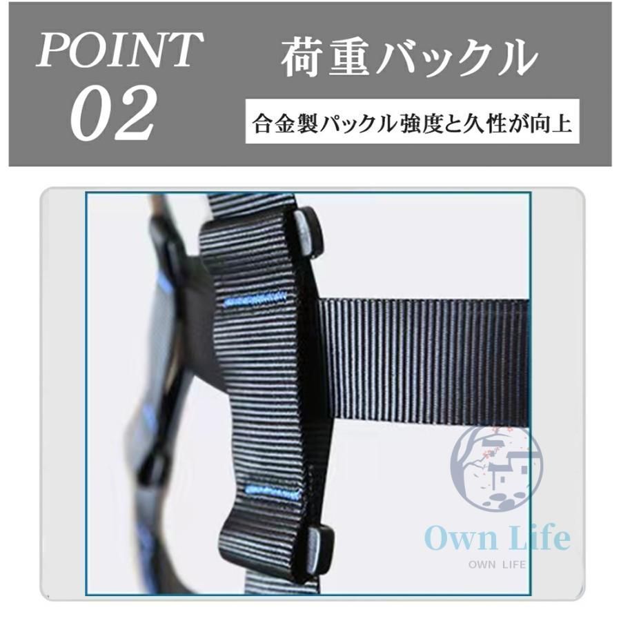 全身保護
