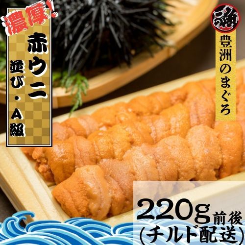 濃厚‼! 毎日吟選 赤ウニ ２５０ｇ 並び Aランク 弁当箱 エゾバフンウニ