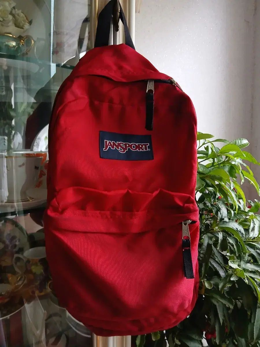 JanSport リュック レッド リュック バックパック RIGHT PACKライト