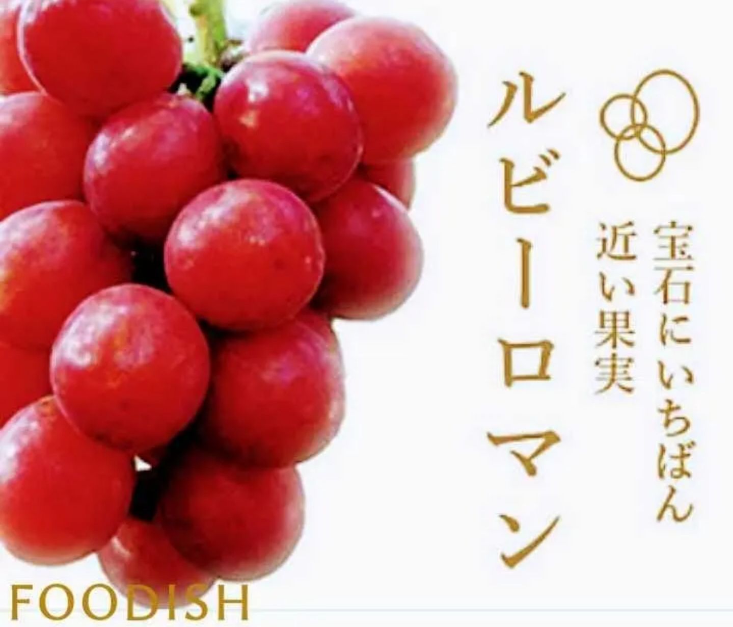 ぶどう ルビーロマン600g 化粧箱 ギフト 贈答品 敬老の日 暑中見舞