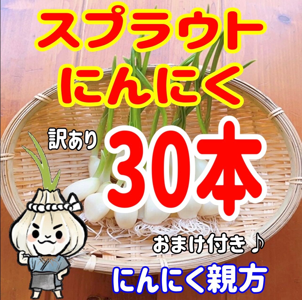 スプラウトにんにく 驚きの栄養価 発芽にんにく 55本 にんにく親方 - 野菜