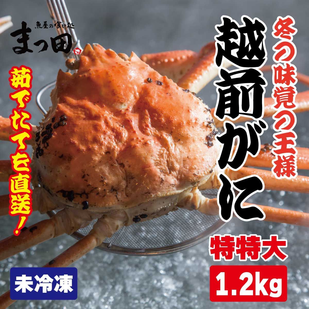 越前がに解禁！浜ゆで直送越前がに1.2ｋｇ