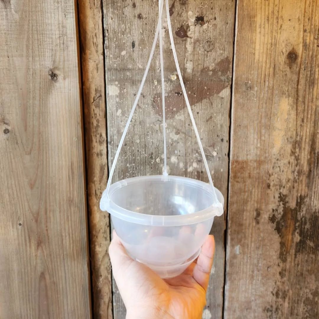 ネガミエル AIR【 1鉢 】透明の吊り鉢！らくらくメルカリ便 - メルカリ