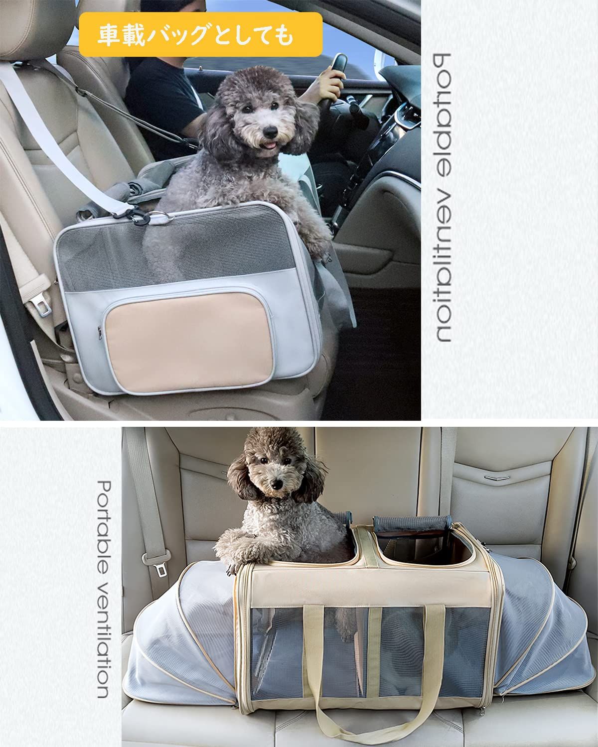 キャリーバッグ 散歩