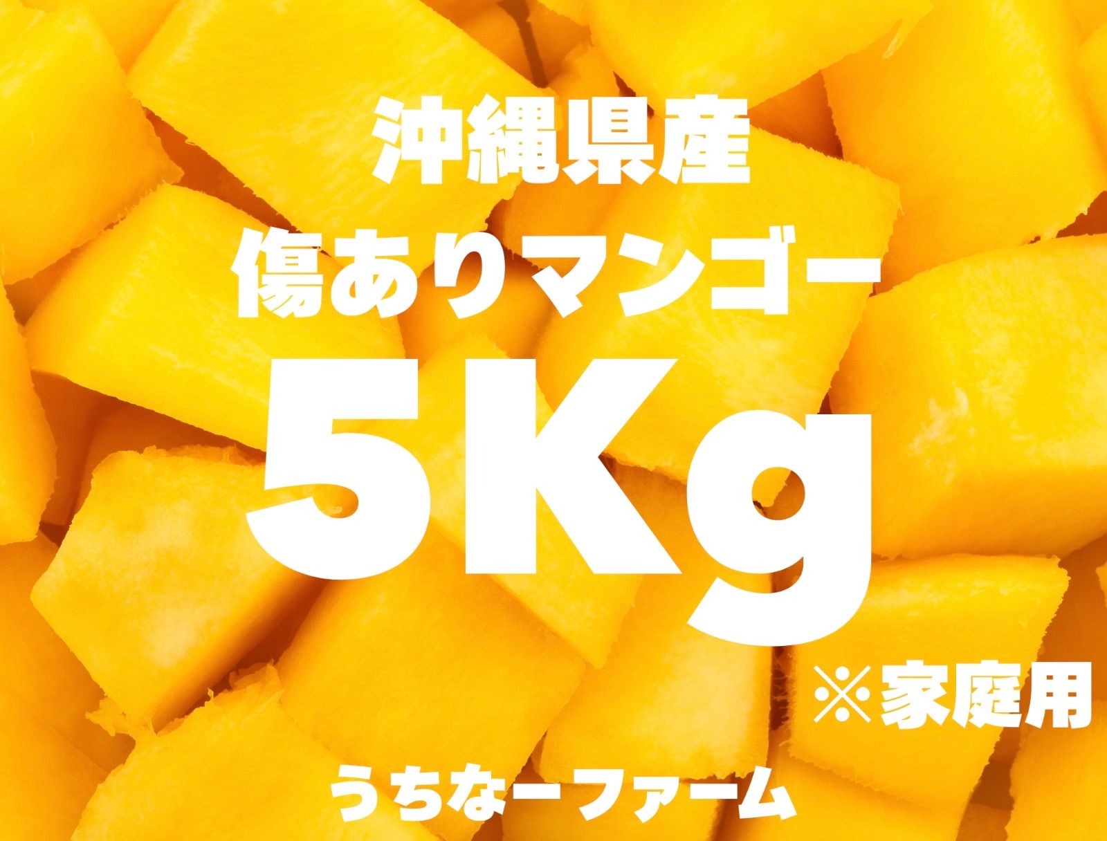 沖縄産地直送 クール便込 完熟マンゴー 家庭用5Kg