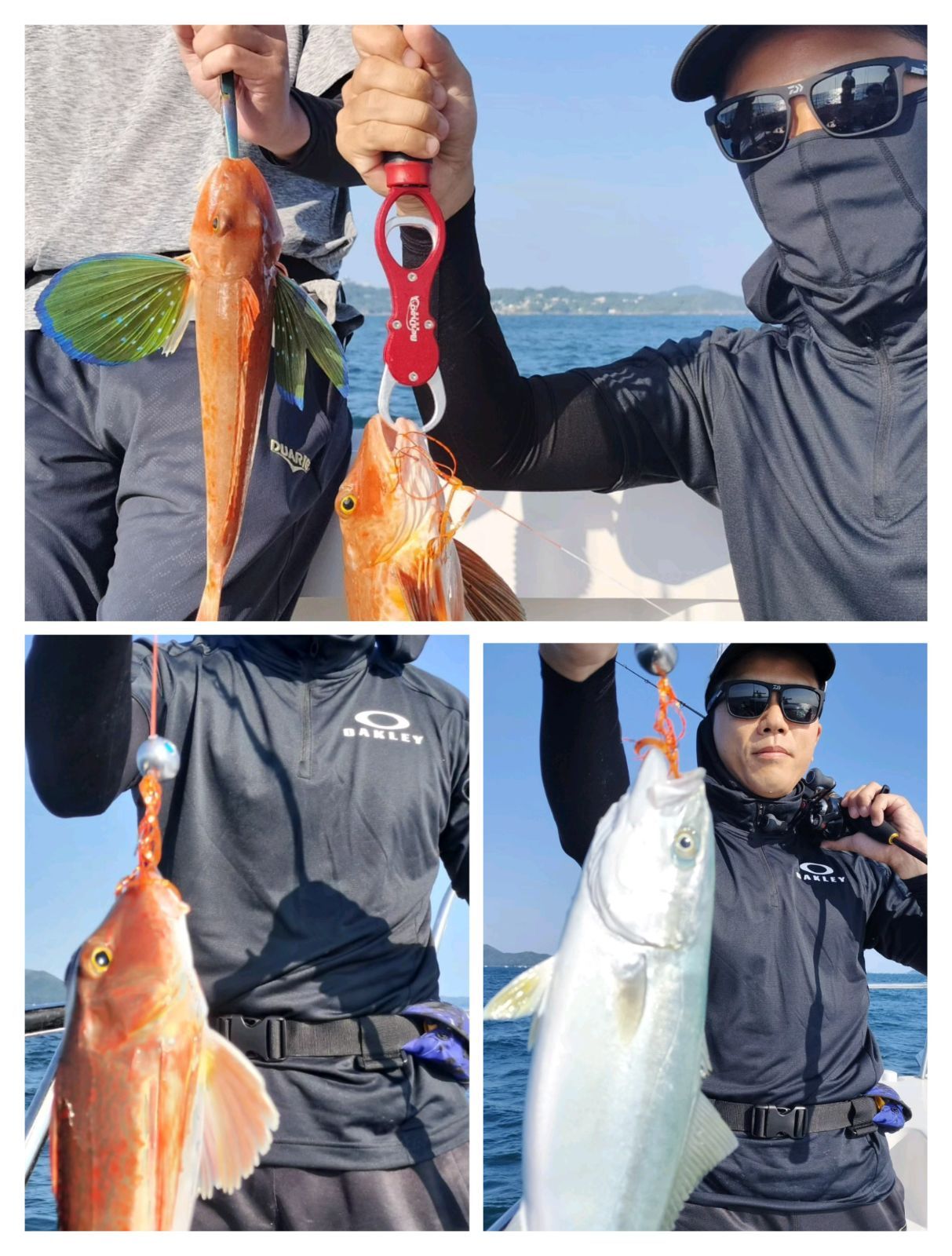 タイラバ　ネクタイ　ヘッド　まとめ売り 楽天市場】タイラバ ストライク玉 鉛タイプ ネクタイセット 60g