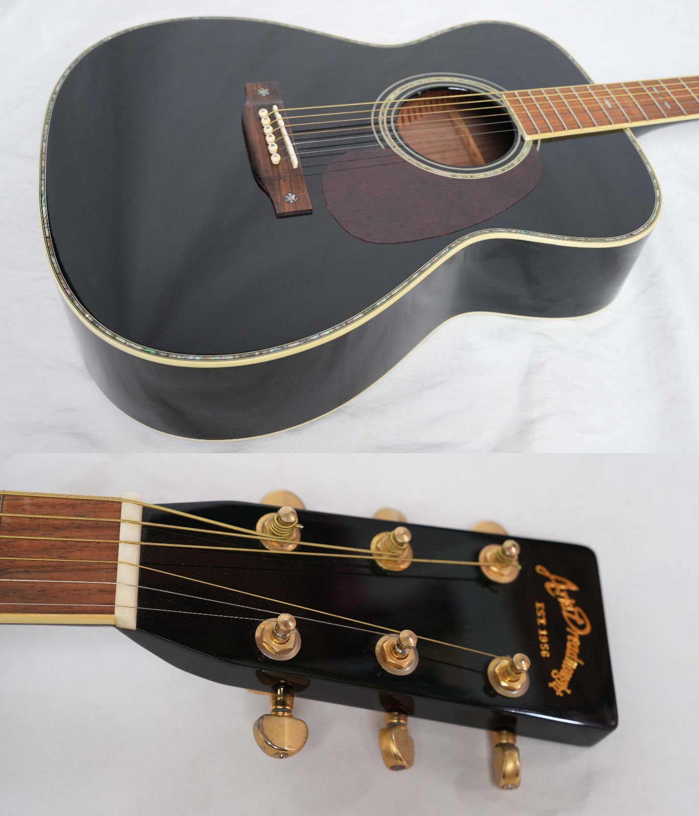 ☆Aria Dreadnought☆AF-60 BK トップ＆バック単板モデル 美品