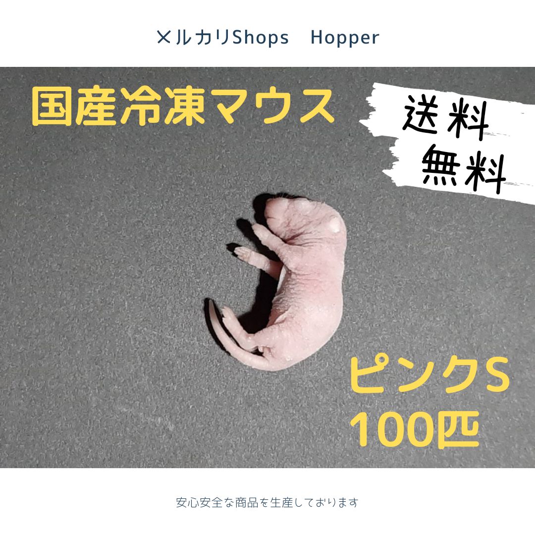 国産冷凍マウス ピンクS 100匹（送料無料一部地域発送不可