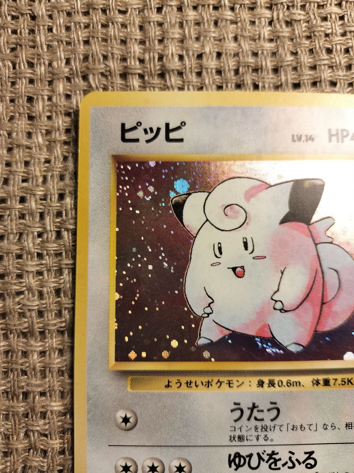 ピッピ　美品　旧裏 ピッピ 旧裏」の激安通販 | magi