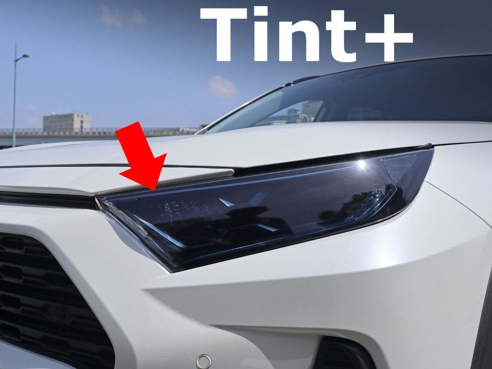 Tint+再利用できる RAV4 50系 ヘッドライト スモークフィルム MXAA52/MXAA54/AXAH52/AXAH54 前期 rav4