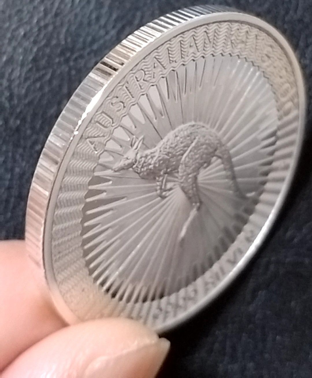 G495 オーストラリア カンガルー シルバー コイン 2016年 参考品