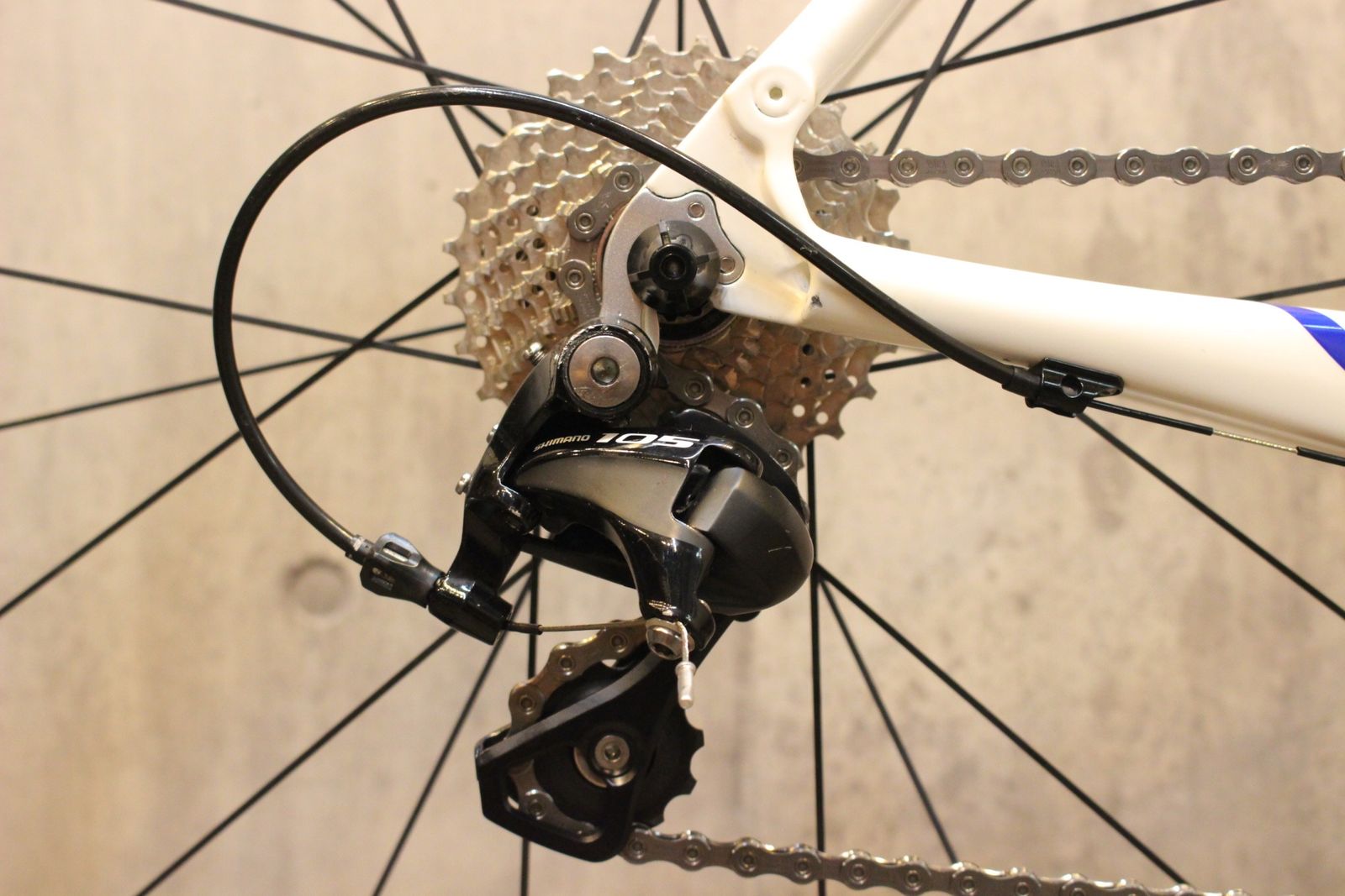 フェニックス FENIX