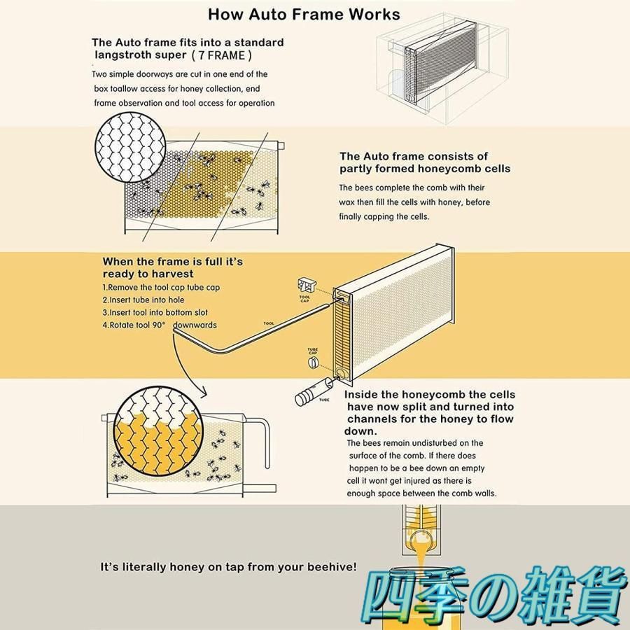 ミツバチ巣 自流蜜蜂巣