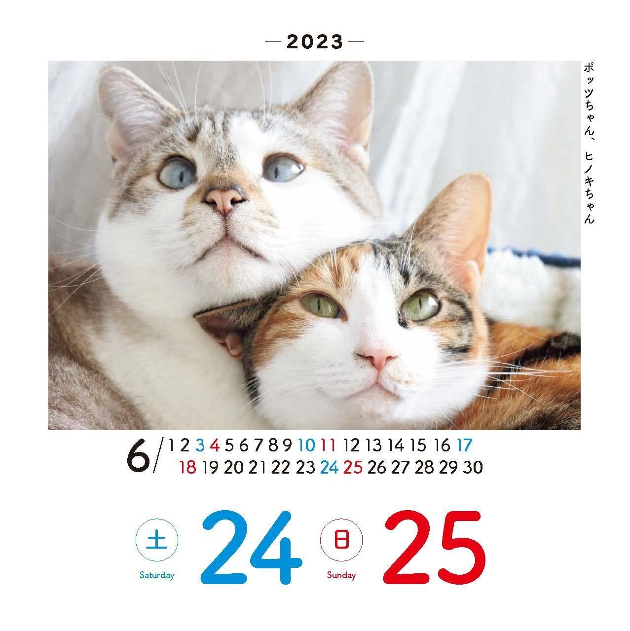 最大64%OFFクーポン 未使用 2023年 猫 卓上カレンダー