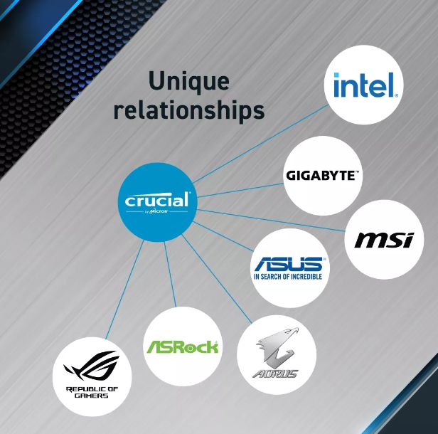 Crucial クルーシャル
