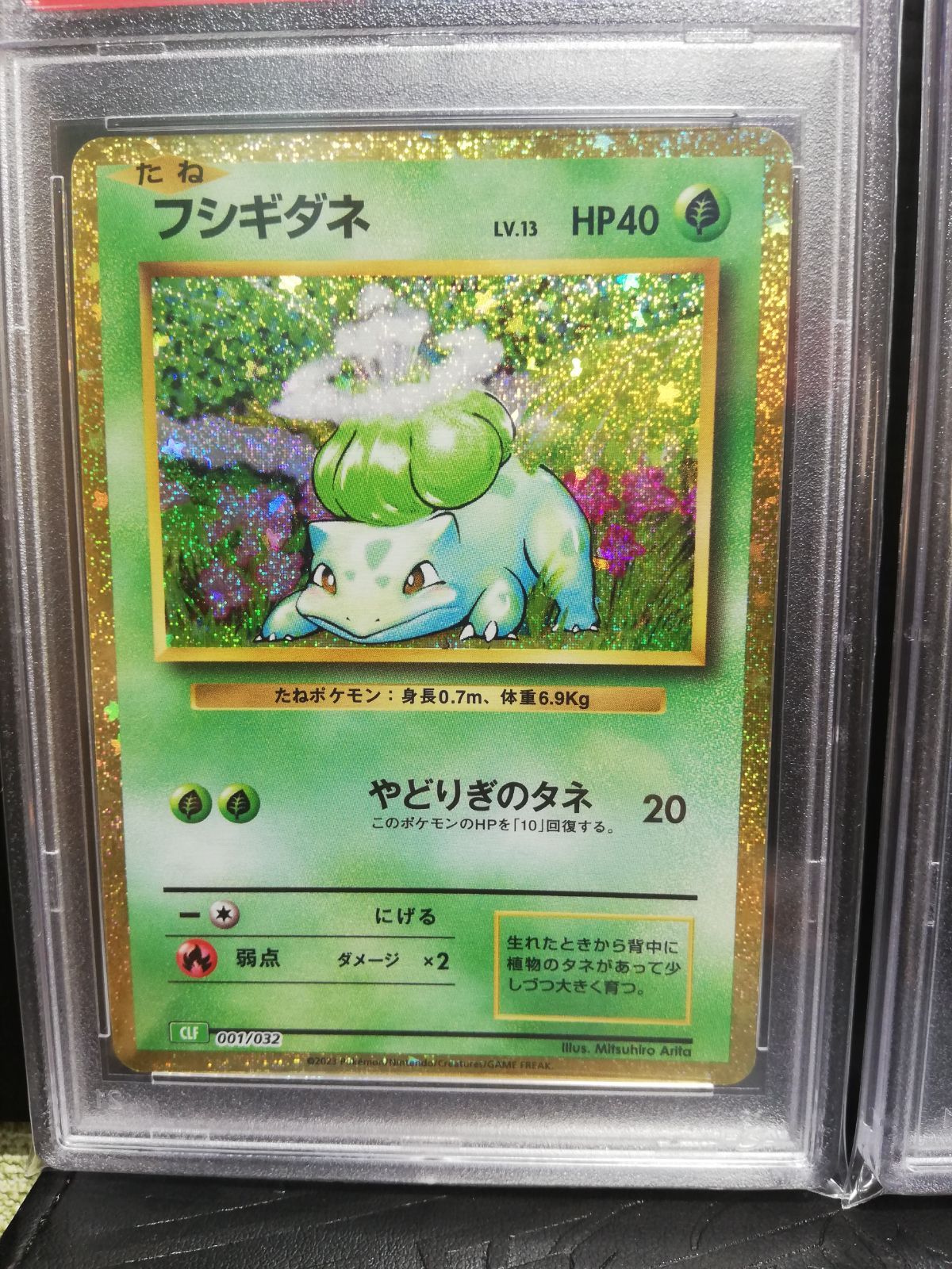 ポケモンカード classic フシギバナ 進化ライン PSA10 連番 大人気新品